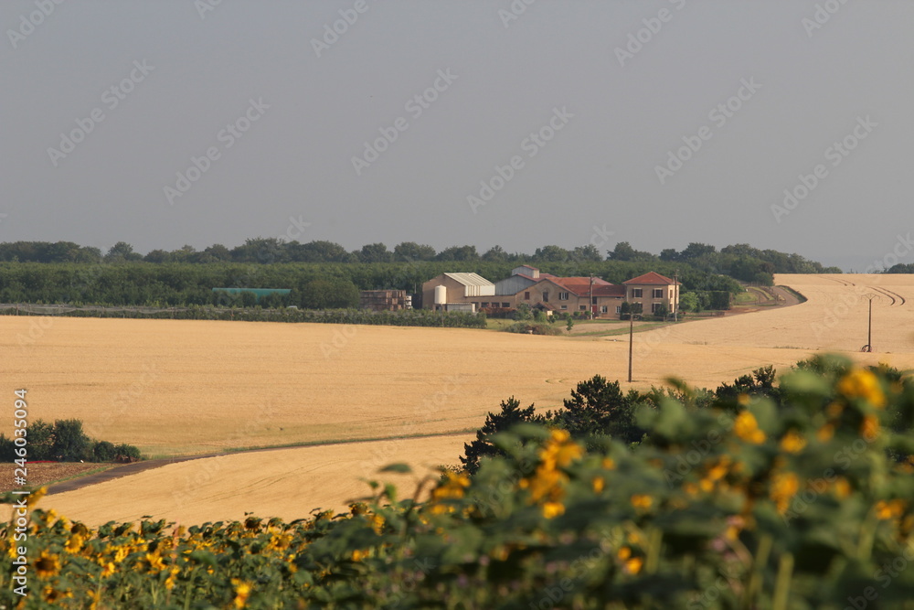 Obraz premium corps de ferme