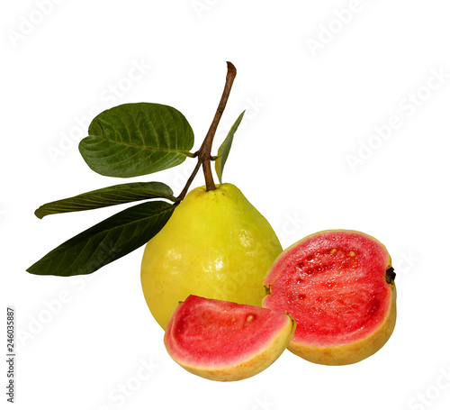 Guava fruit with leaves on white isolated background