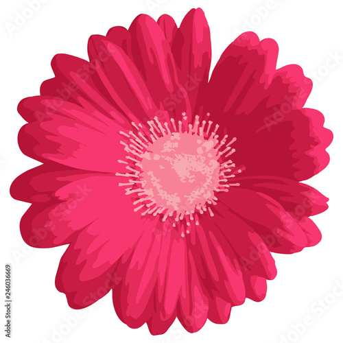 Pink gerbera or daisy flower icon