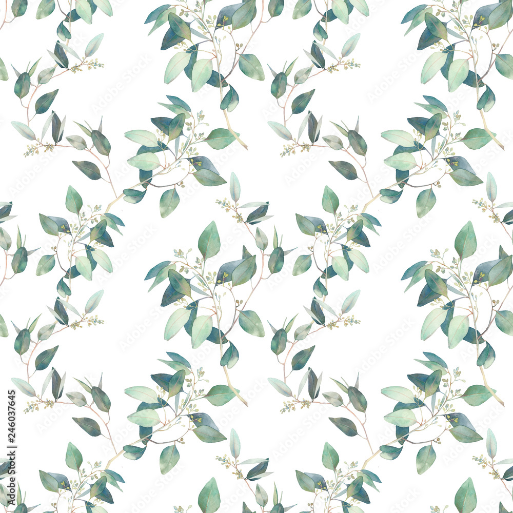Fototapeta Akwarela eukaliptusa oddziałów wzór. Ręcznie malowane kwiatowy powtarzaną teksturę na białym tle.