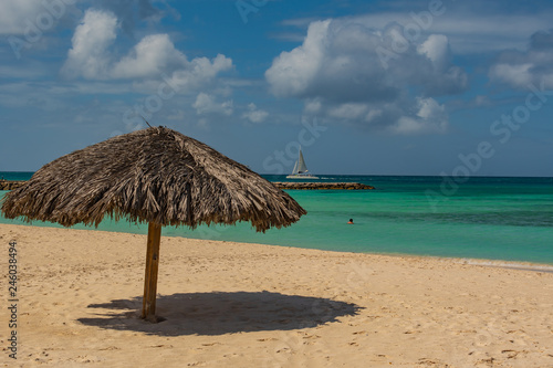 Person in the water at the beach 