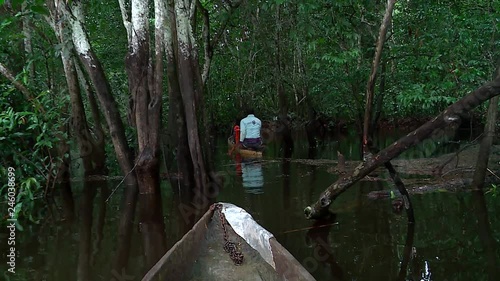 View of the nose of a wooden Pirogue inside the mangrove on a topical Lake in Cameroon, Africa photo