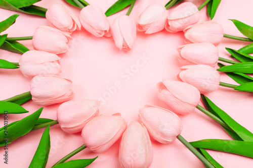Fototapeta Naklejka Na Ścianę i Meble -  Spring pink tulips laid out in the shape of a heart on a pink background