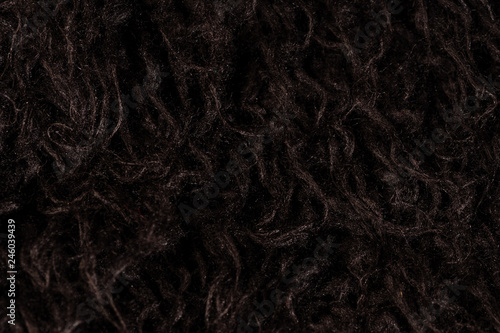 les poils noirs d'un tissu de laine