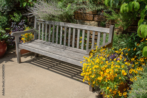 wooden bench in the park
