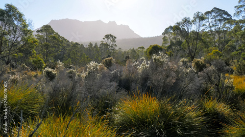 a high key shot of the late afternoon sun dropping towards mt ossa photo