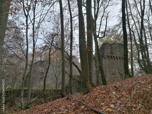Quadro em tela Burg Rodenstein im Herbst des Odenwald