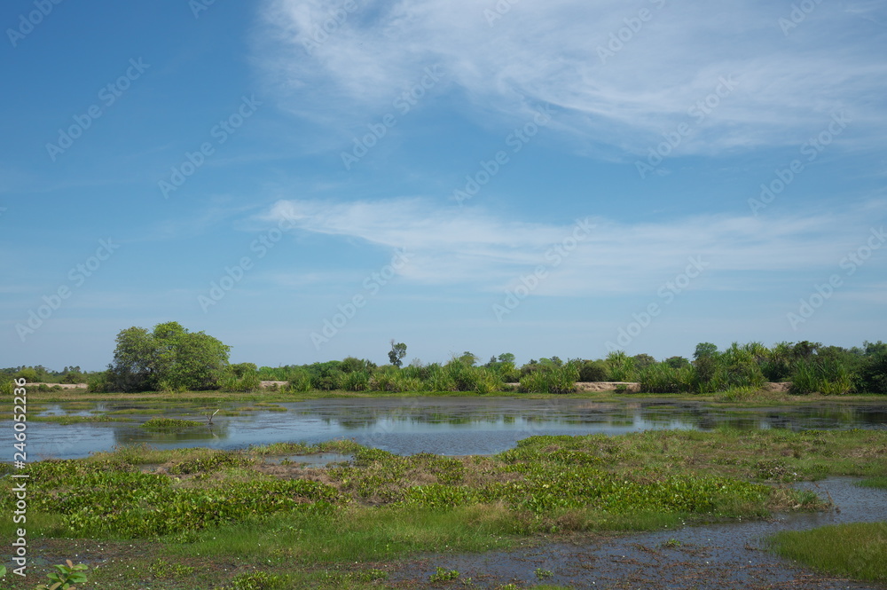 Prasat Sambour,Cambodia-January 12, 2019: A pond along road 219 in Prasat Sambour in Cambodia Prasat Sambour,Cambodia-January 12, 2019: A pond along road 219 in Prasat Sambour in Cambodia