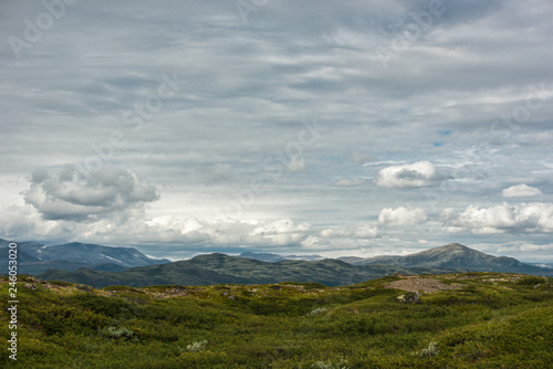 Blick auf die Berge des Dovrefjells