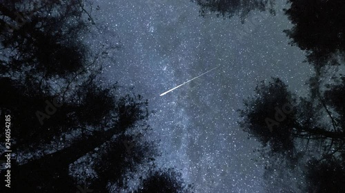 Falling star meteor in a forest at night. photo