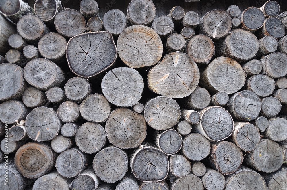 Stack of old birch chocks Stack of old birch chocks
