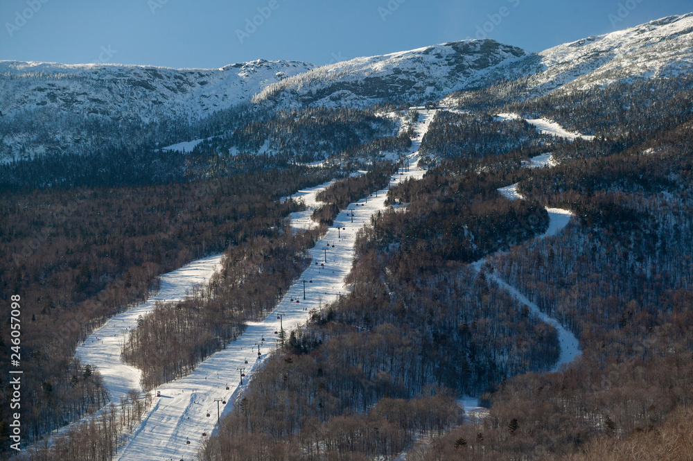 Gondolier ski trails in winter, Stowe, Vermont, USA
