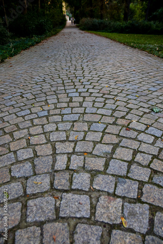 Stone walkway 