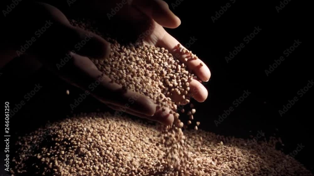 Female hands pours buckwheat grain. Slow motion Female hands pours buckwheat grain. Slow motion