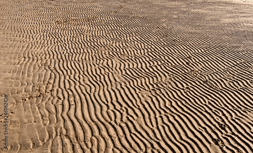 Patterns in the sand on a beach
