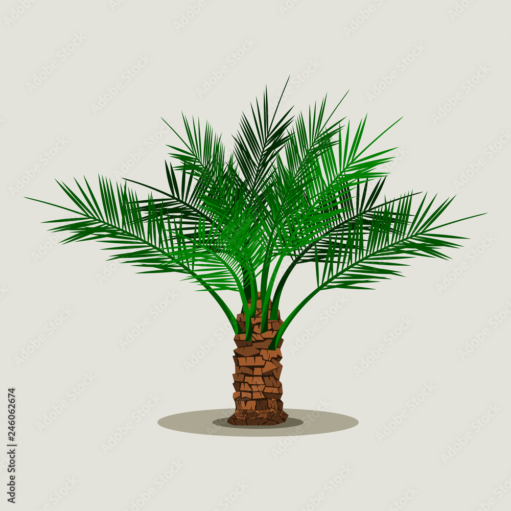 Naklejka premium Editable Isolated Short Date Palm Tree on Light Background Vector Illustration for Islamic or Arab Nature and Culture Also Healthy Foods Related Design