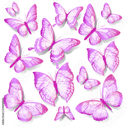 beautiful pink butterflies, isolated  on a white © aboard