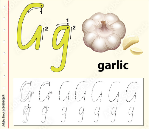 Letter G tracing alphabet worksheets