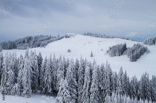 Winter landscape with trees covered in snow