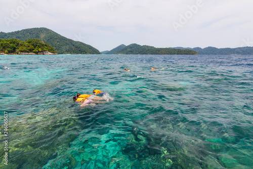 group tourists snorkeling Beautiful sea, water is green Surin Islands Tourist attractions of Thailand