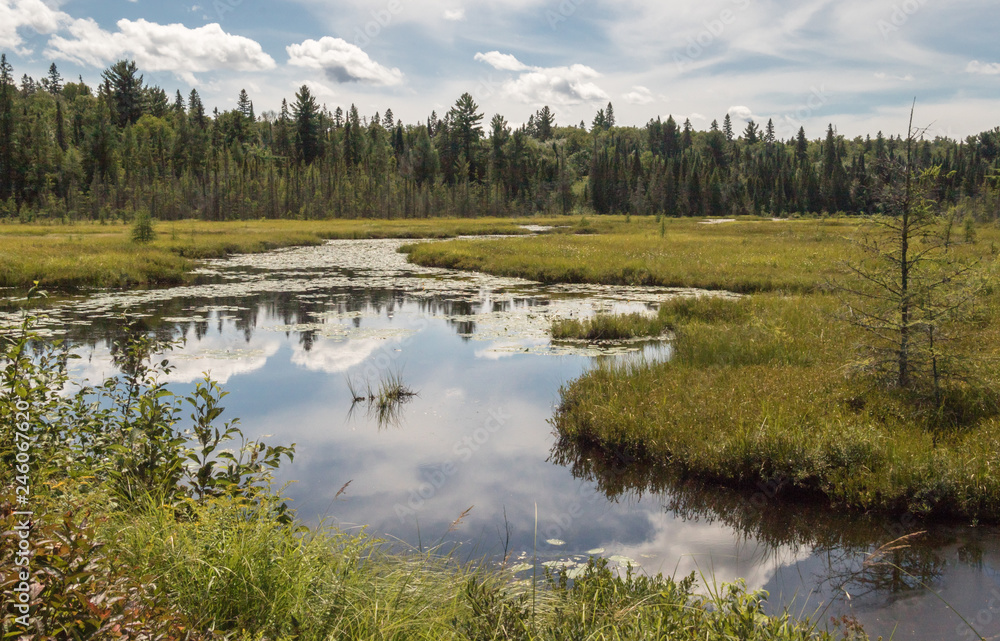 Clouds reflected in an Algonquin Park Marsh
