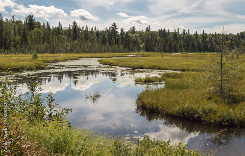 Clouds reflected in an Algonquin Park Marsh