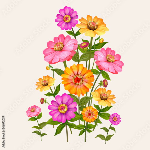 Fotografi Zinnia flowers illustration