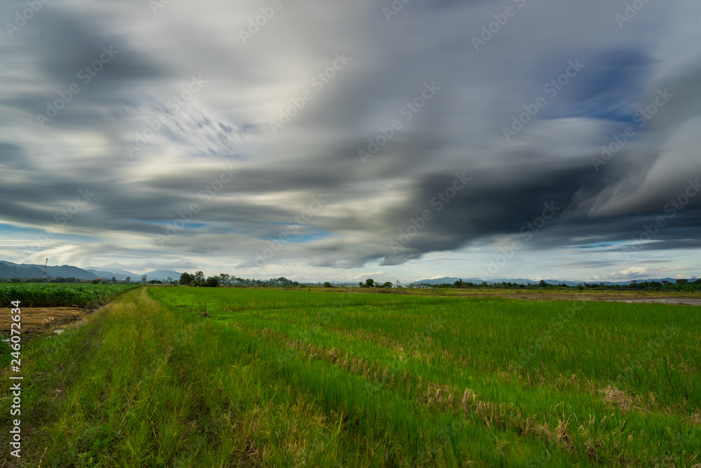 Paddy rice field with storm clouds and Doi Nang Non Mountains background in Chiangrai Thailand Paddy rice field with storm clouds and Doi Nang Non Mountains background in Chiangrai Thailand