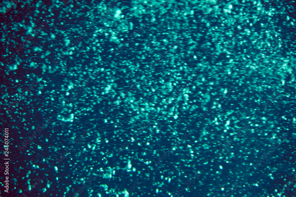 Fototapeta premium Fish and air bubbles in the aquarium. Abstract background. Tenerife. Canary Islands..Spain