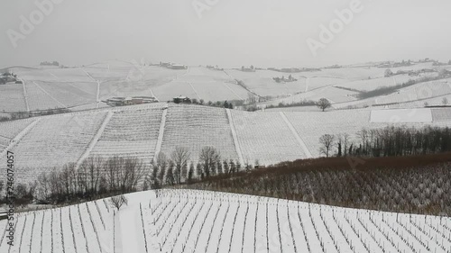 aerial video of Vineyard in winter time with snow photo