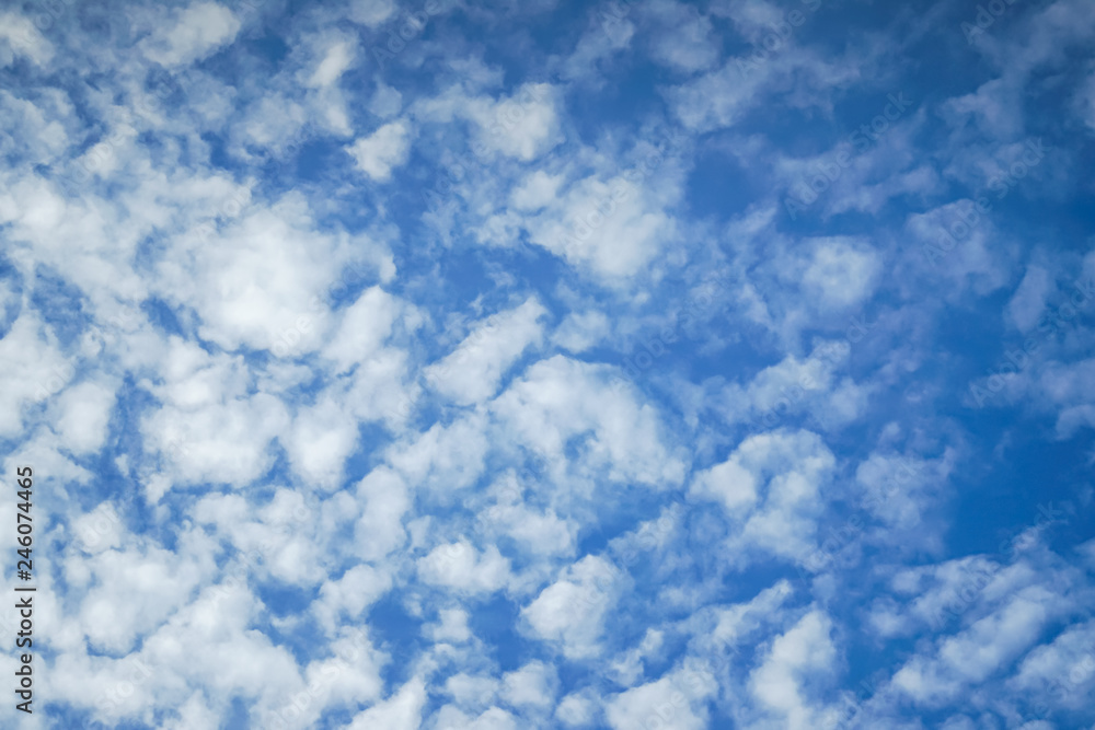 Altocumulus clouds in the blue sky, wallpaper, background