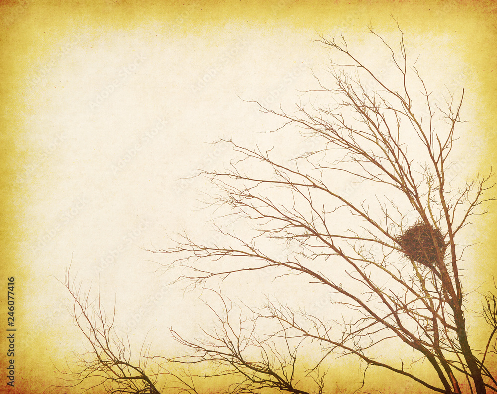 Obraz premium Vintage grunge textured landscape with silhouette of lone bare tree and bird nest