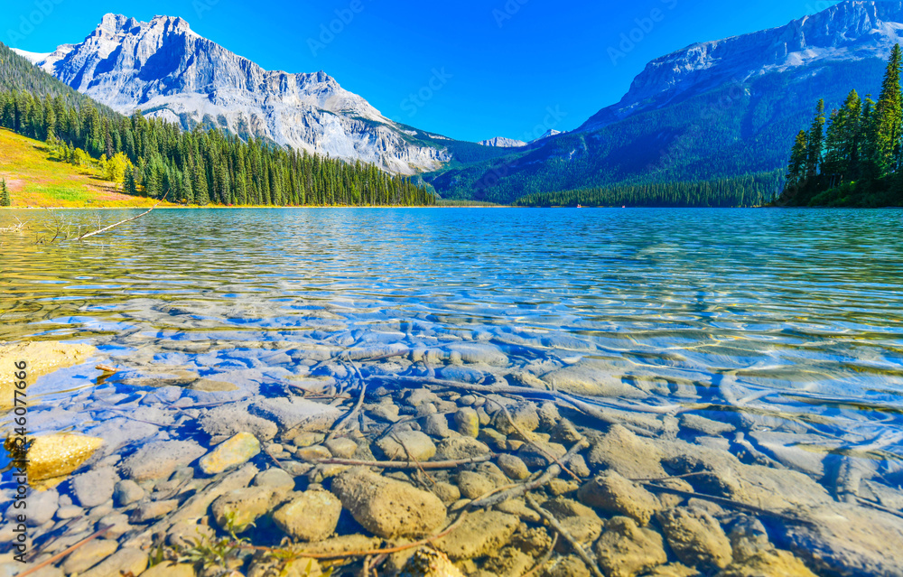 Emerald Lake,Yoho National Park in Canada - obrazy, fototapety, plakaty 