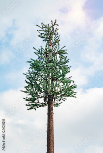 Cell phone tower disguised as a tree