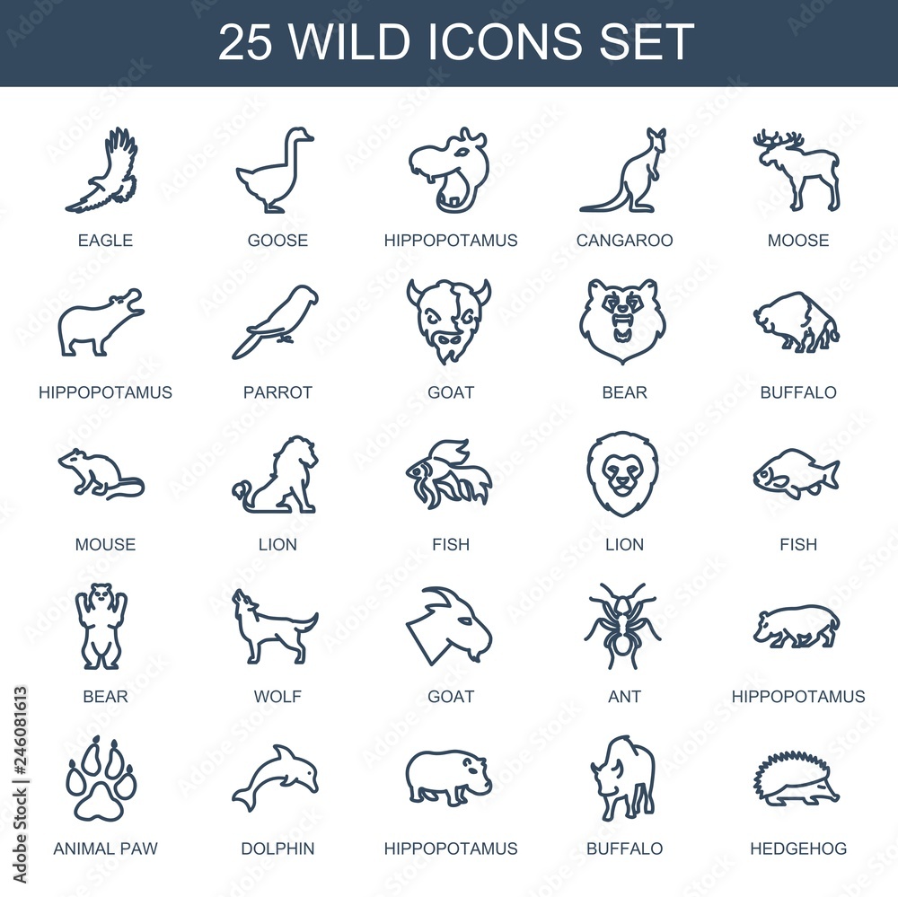 Fototapeta premium 25 wild icons