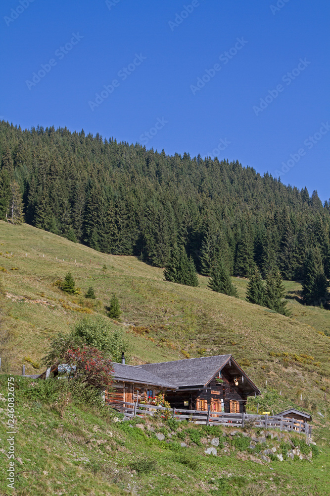 Örgenbaueralm hoch über Saalfelden