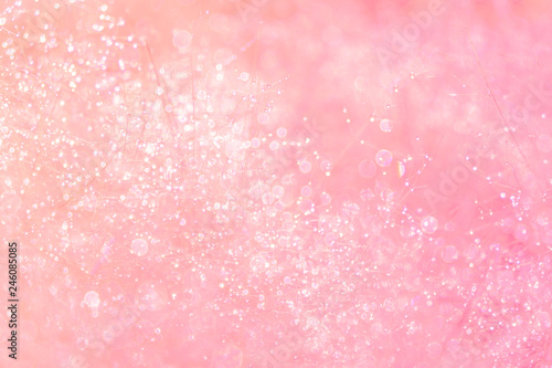 Blurred for​ background.The Pink grass that has dew in the morning during the winter.