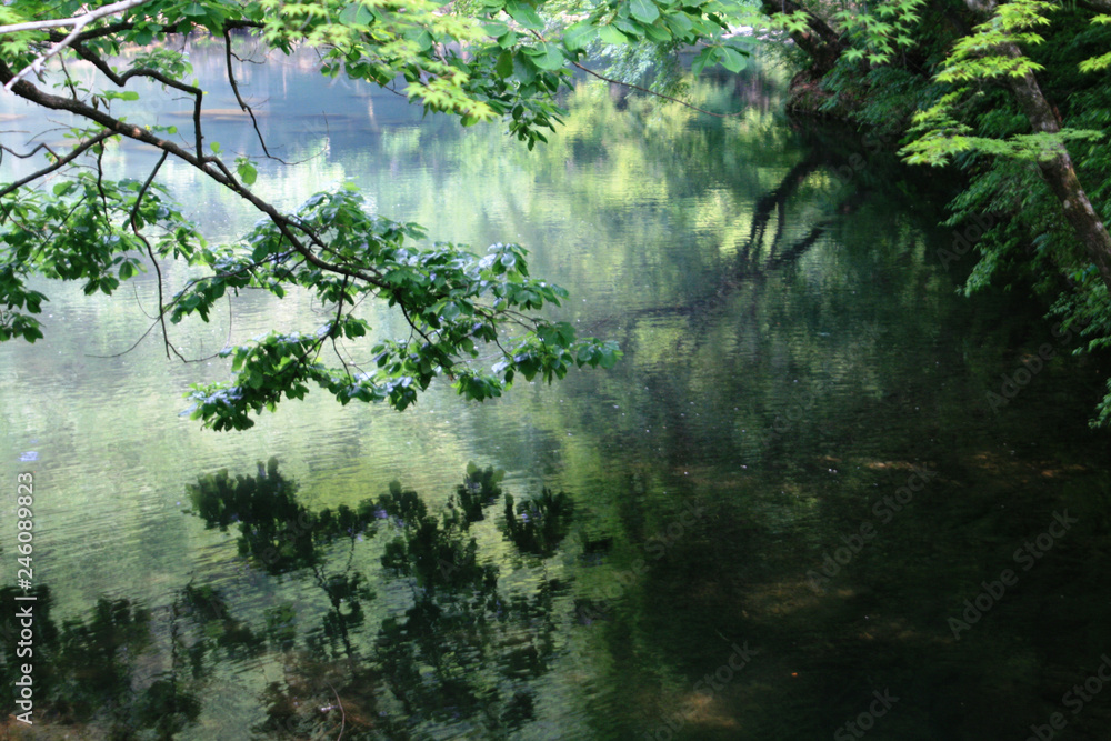 Naklejka premium Pond landscape