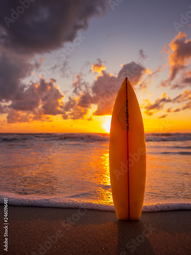 surfboard on the beach in sea shore at sunset time with beautiful light © Netfalls