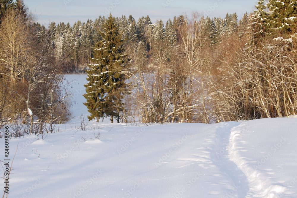 Winter forest and a forest lake covered with ice and snow Winter forest and a forest lake covered with ice and snow