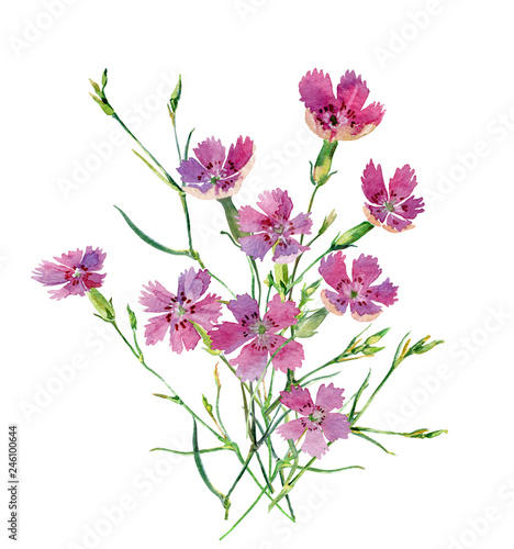 A small bouquet of wild carnations