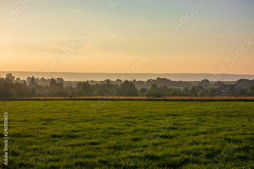 The sunset over wheat field in Germany