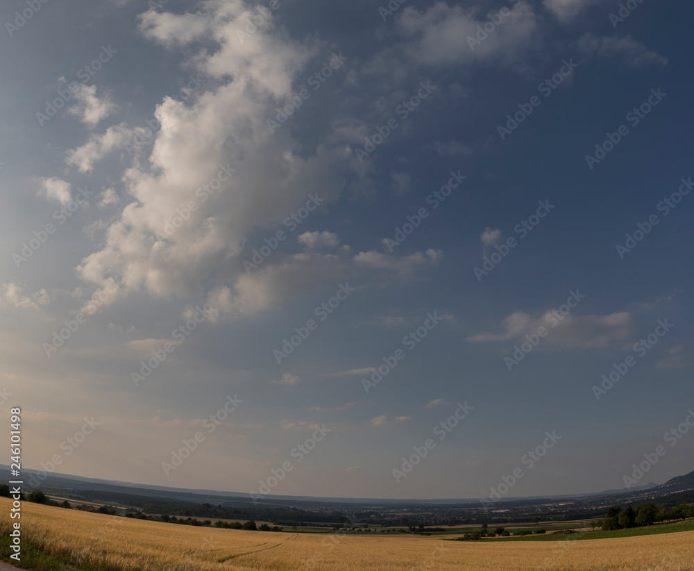 Obraz premium Erntereifes Feld