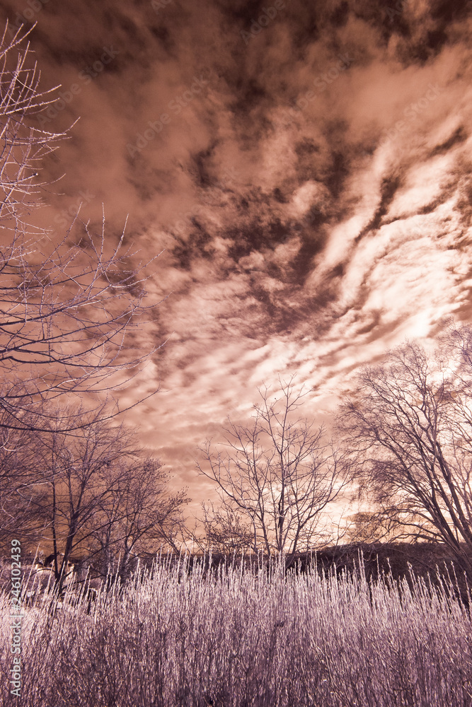 Schleierwolken über der Landschaft - Infrarot Schleierwolken über der Landschaft - Infrarot