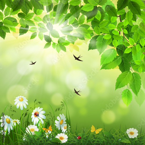  Spring background with flowers and swallows.