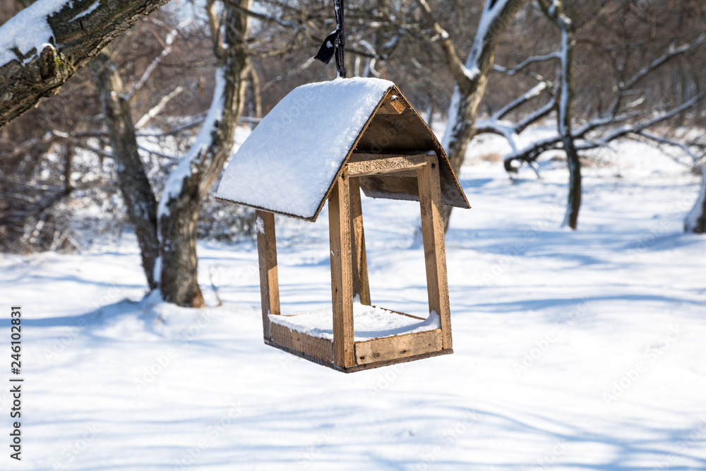 nesting box or feeding trough in winter snowy park nesting box or feeding trough in winter snowy park