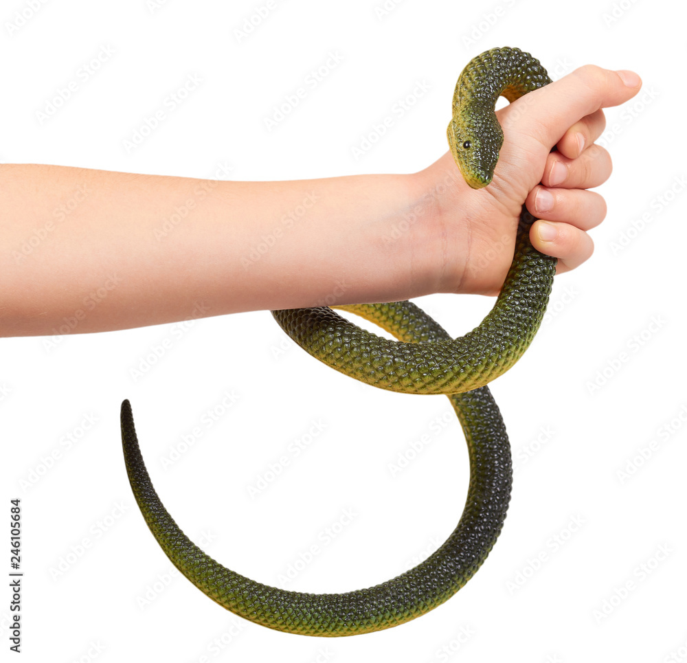 Kids hand with fake green snake, rubber animal toy Stock Photo | Adobe Stock