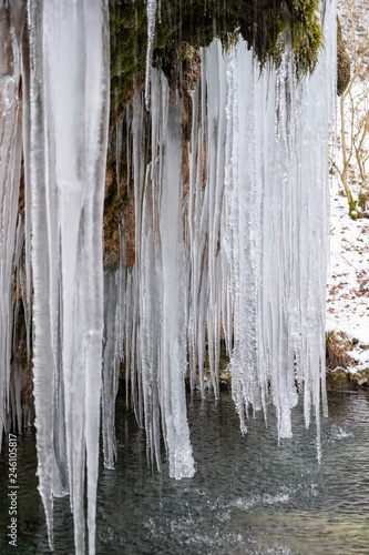 Multiple icicles forming on rock