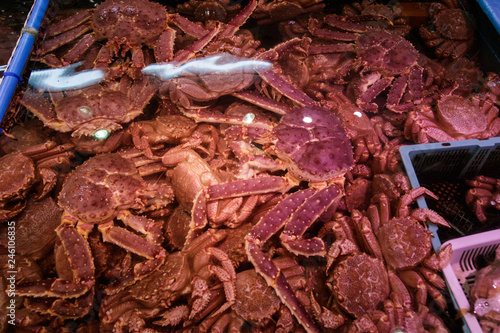 Fresh Japanese hair crab, King Crab of Hokkaido, Japan , Fresh Red King Crab