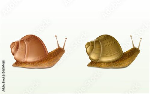 Two creeping Burgundy or Roman snails 3d vector icons isolated on white background. French cuisine delicatessen, edible and farming European specie snail, skincare cosmetics ingredient illustration